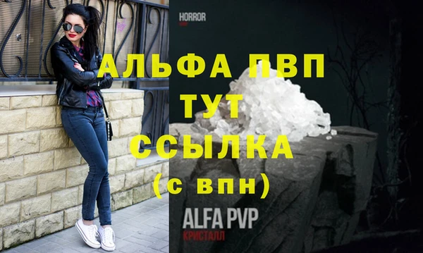 гашик Инсар