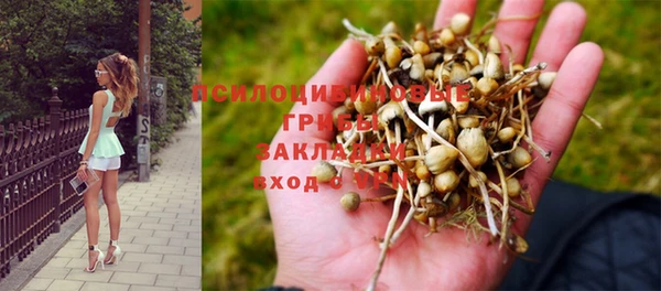 шишки Каменск-Шахтинский
