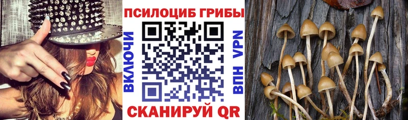 Псилоцибиновые грибы MAGIC MUSHROOMS  наркотики  Элиста 